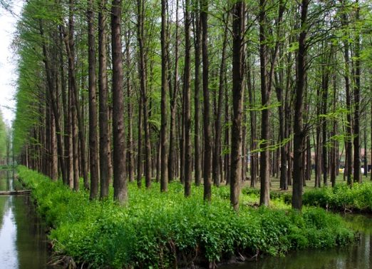 1629552703793849.jpg image.jpg