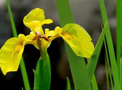 1629553026761915.jpg image.jpg