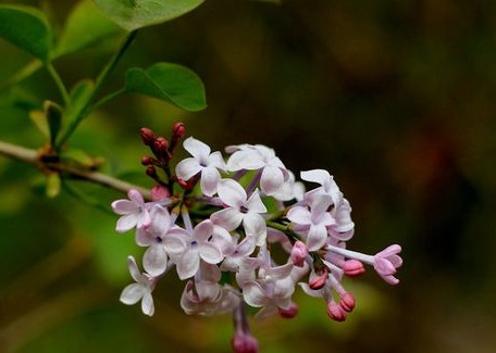 1629553122445027.jpg image.jpg