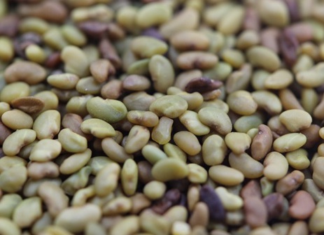 1629553187330144.jpg image.jpg