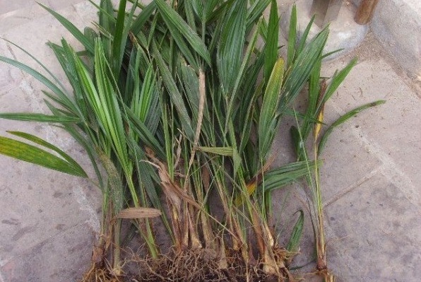 1629601312627007.jpg 3.jpg