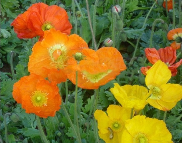 1629601811742808.jpg 6.jpg