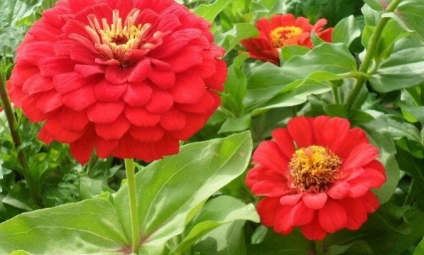 1629609643618545.jpg {9S0GGGN`2}UY3@BY7F[VGM.jpg