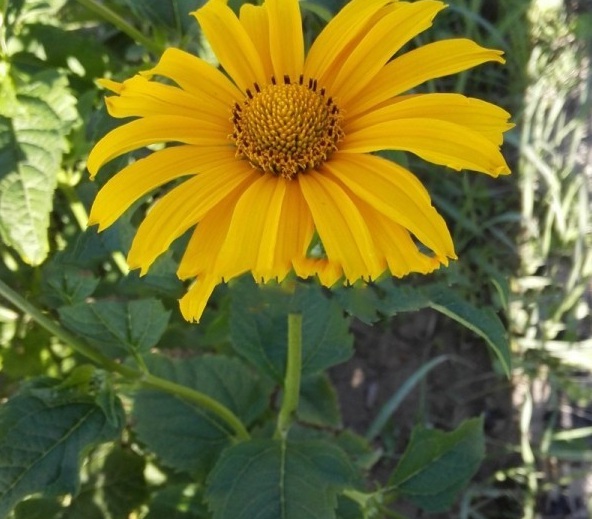 1629614071794960.jpg 849I@(KC)YETG[UY4[IP%KW.jpg