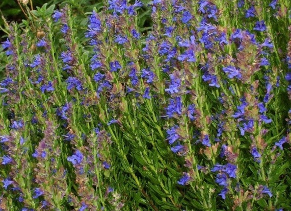 1629619110985466.jpg QAM6C~2PAQ_0XAFDT%{[T60.jpg