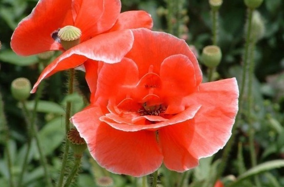 1629619600596121.jpg YJOYHXBEHJNLS%UIJR{T0(U.jpg