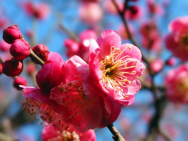 1629619649978607.jpg 1.jpg