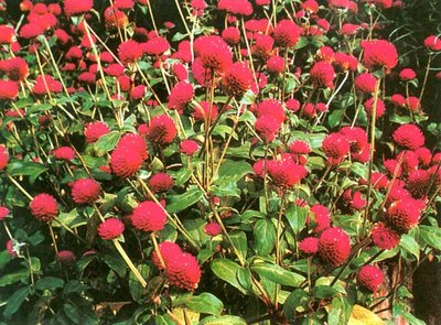 1629627449697131.jpg 1629627449697131.jpg