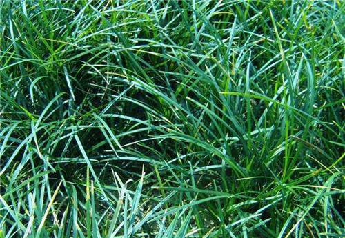 1629628680932784.jpg 1629628680932784.jpg