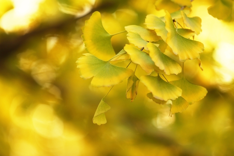 1629632485443946.jpg 1629632485443946.jpg