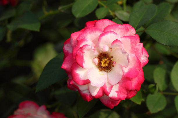 1629632671887617.jpg 1629632671887617.jpg