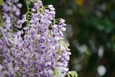 1629633149208007.jpg 1629633149208007.jpg