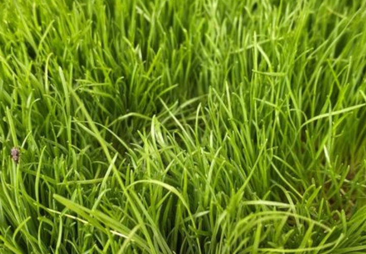 1629645446583362.jpg 狗牙22222222222222222.jpg