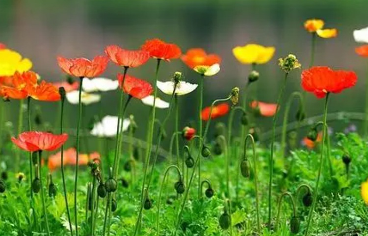 1629646437848769.jpg 又沒人沒人人民.jpg