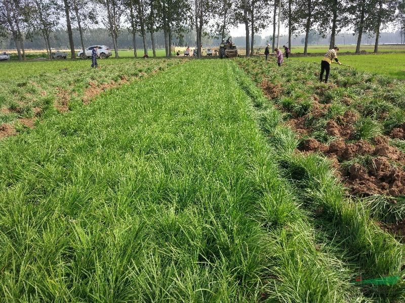 1629686346777973.jpg 1629686346777973.jpg