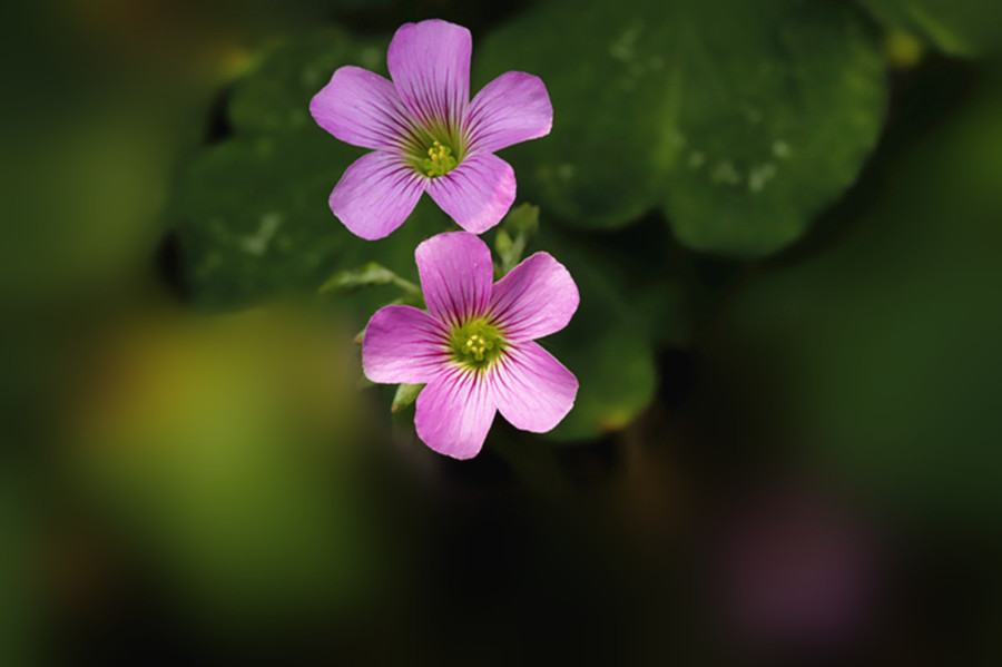 1629686844752172.jpg 1629686844752172.jpg