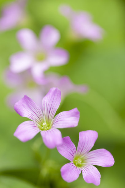 1629686844808178.jpg 1629686844808178.jpg