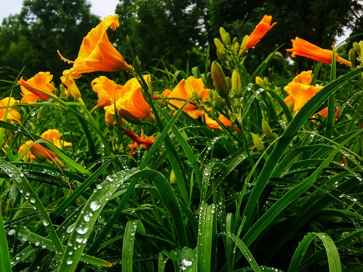 1629687150502261.jpg 1629687150502261.jpg