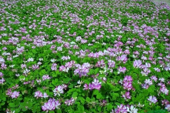 1629688965191178.jpg [8N0RL[LQT99B9XC`50HJJO.jpg