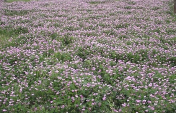 1629688986920735.jpg 3S}QV~@7@KSCA~)[BJSYIWD.jpg