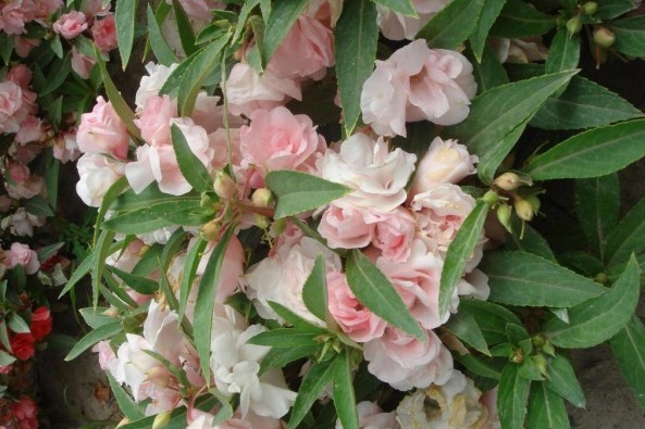 1629689043191560.jpg N_XO6RMJP[X7W9}(LK9($@I.jpg