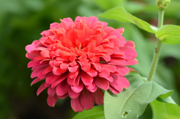 1629689841148409.jpg 1629689841148409.jpg