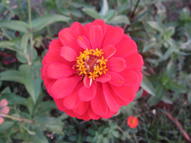 1629689841939716.jpg 1629689841939716.jpg