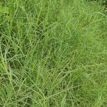 1629812584501475.jpg 1629812584501475.jpg