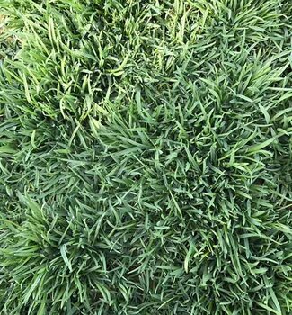 1629812585538953.jpg 1629812585538953.jpg