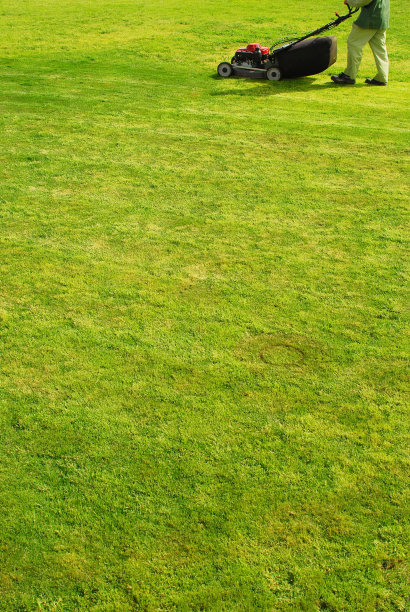 1629814665209653.jpg 1629814665209653.jpg