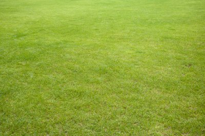 1629814665527478.jpg 1629814665527478.jpg