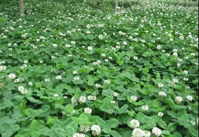 1629815006759715.jpg 1629815006759715.jpg