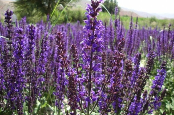 1629873771193825.jpg @_Z@HQ1%8I~8{Y_R[W0B9[2.jpg