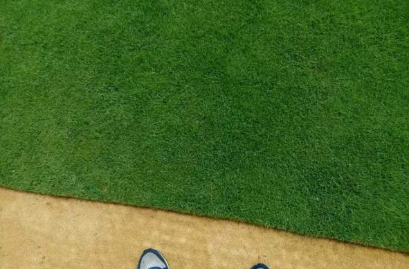 1629875305112970.jpg )ADDK`_`OI2UN9T_)TBZ9UJ.jpg