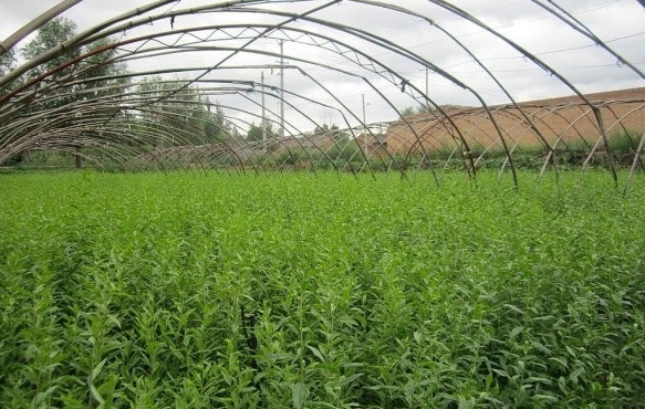 1629875580687214.jpg 7AGAQT80X`M%KT4M947(EID.jpg