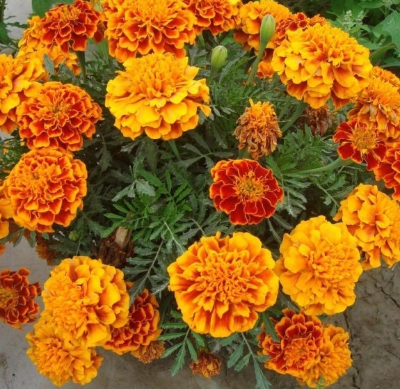 1629875779330498.jpg MCL${18$B@KV`09Z7GY%FMC.jpg