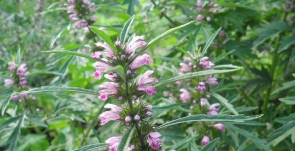 1629876738348004.jpg AH$}`HV`82NGRVH(4E{I$7K.jpg