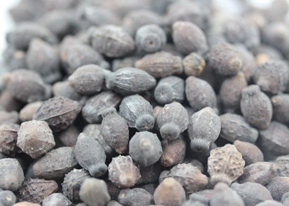 1629876895309112.jpg (4$`92M(7XCHYOKJB[`V(6H.jpg