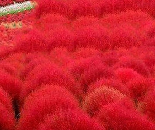 1629877065158276.jpg JGS_2N`GQ(R1D4%4TJGLA1A.jpg