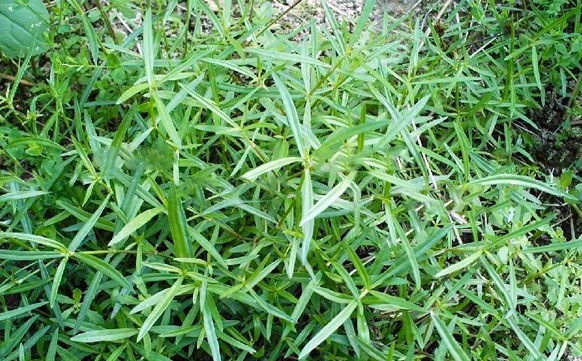 1629877757228493.jpg )~__Z@41)20OTLAR470LD3K.jpg