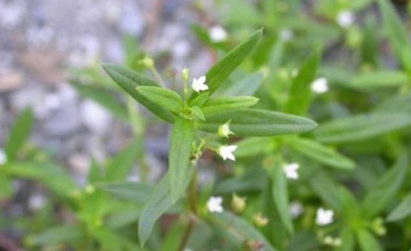 1629877769713549.jpg U~6$T{5Y$[)5{4N%Y}OXL$0.jpg