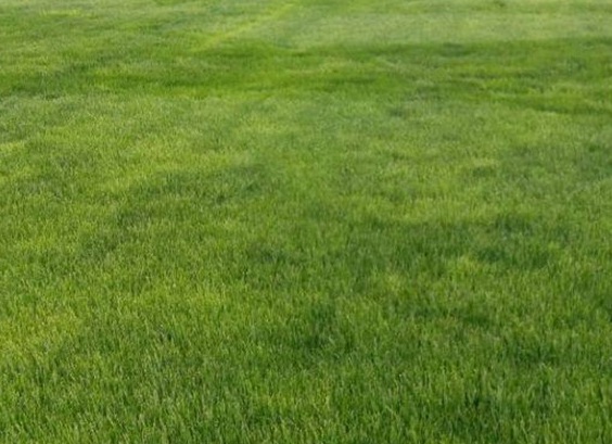 1629880631271005.jpg image.jpg