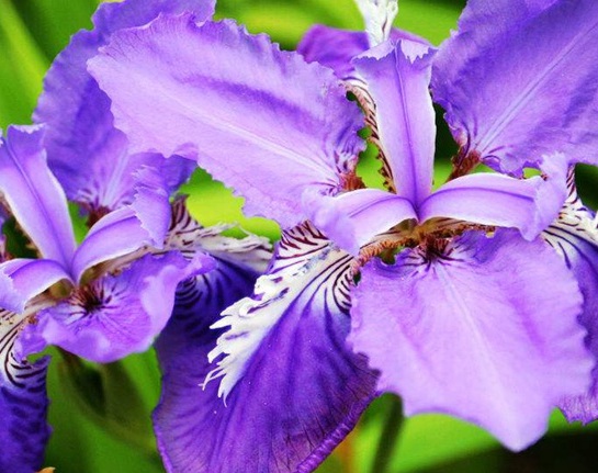 1629881431213126.jpg image.jpg