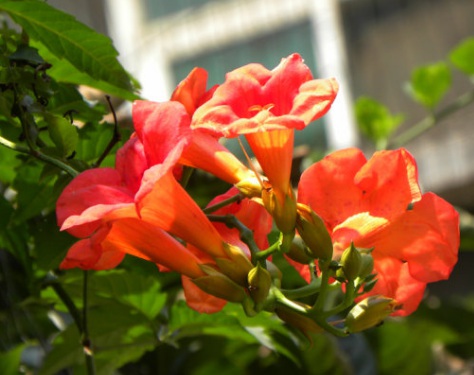 1629882020515740.jpg image.jpg