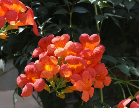 1629882134402930.jpg image.jpg