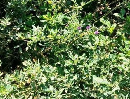 1629882549517610.jpg image.jpg