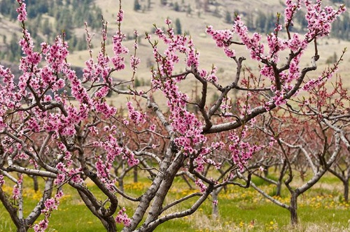 1629882661396440.jpg image.jpg