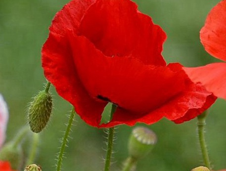 1629883370716002.jpg image.jpg