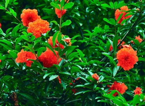 1629883805463929.jpg image.jpg