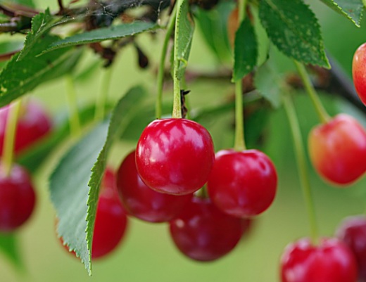 1629884181264599.jpg image.jpg